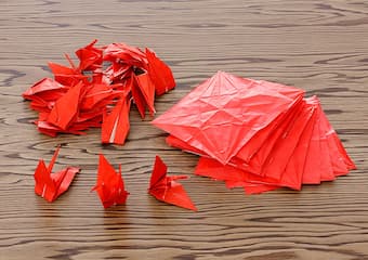 Origami cranes are unfolded to return them to origami paper